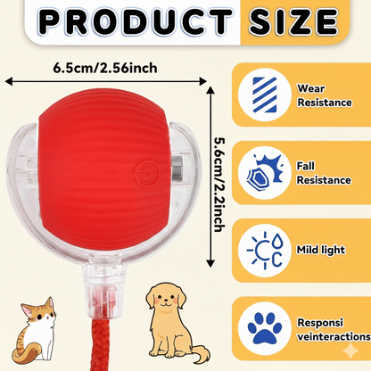 Smart Interactive Cat Toy Ball for Endless Play Exercise and Fun
