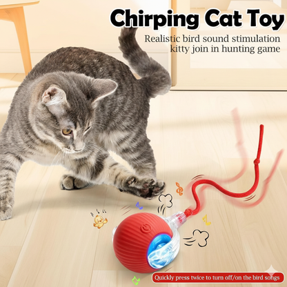Smart Interactive Cat Toy Ball for Endless Play Exercise and Fun
