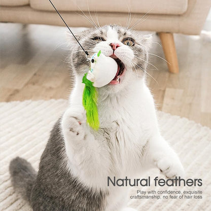 Keep Your Cat Active with Pompom Bird Feather Wand Toy